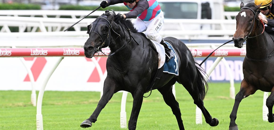Westbury stallions poised for Queensland Carnival impact