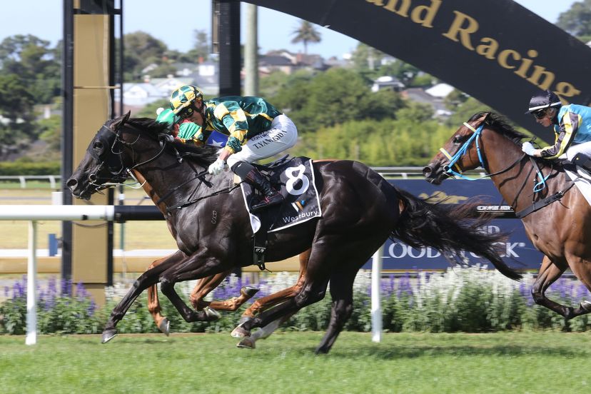 Novara Park rostered up for breeding season