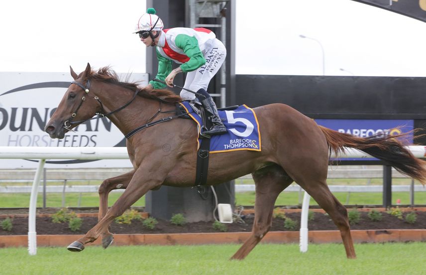 Snitzel double heads big Pukekohe day for transtasman bloodlines