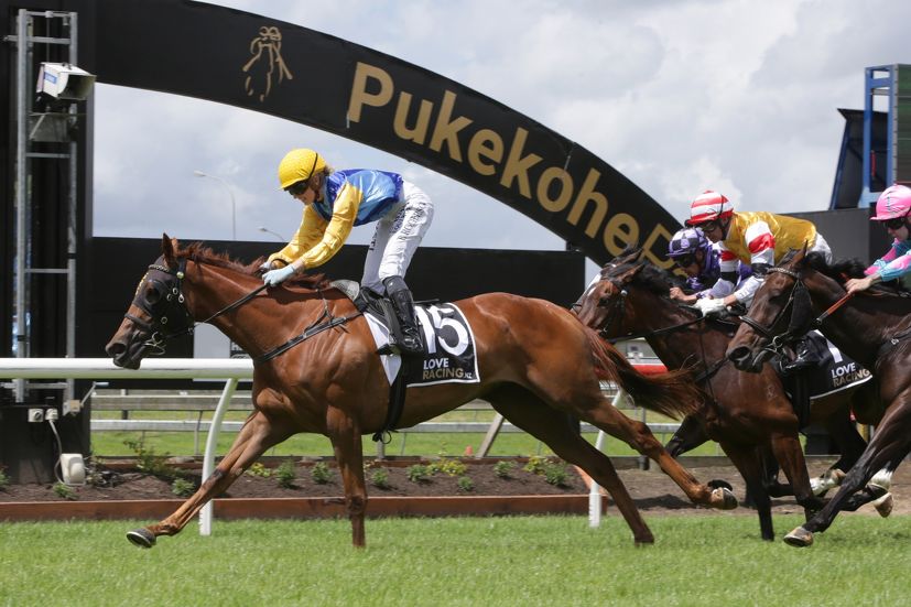 Ukrainian colours fly proudly at Pukekohe