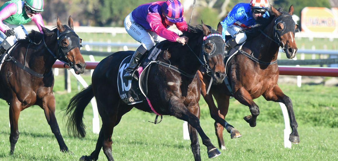 Hong Kong owner-breeder enjoys stakes success with Flower of Wanaka