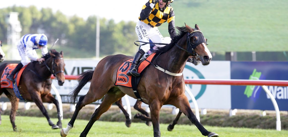 Marsh savours another big day out at Ellerslie