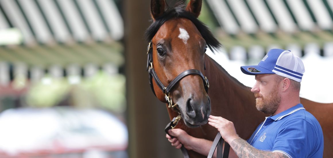 Records blown away in remarkable Ready to Run Sale