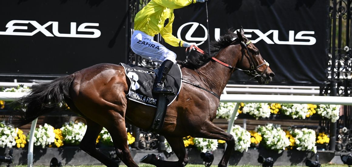 Another Melbourne Cup to take stock of