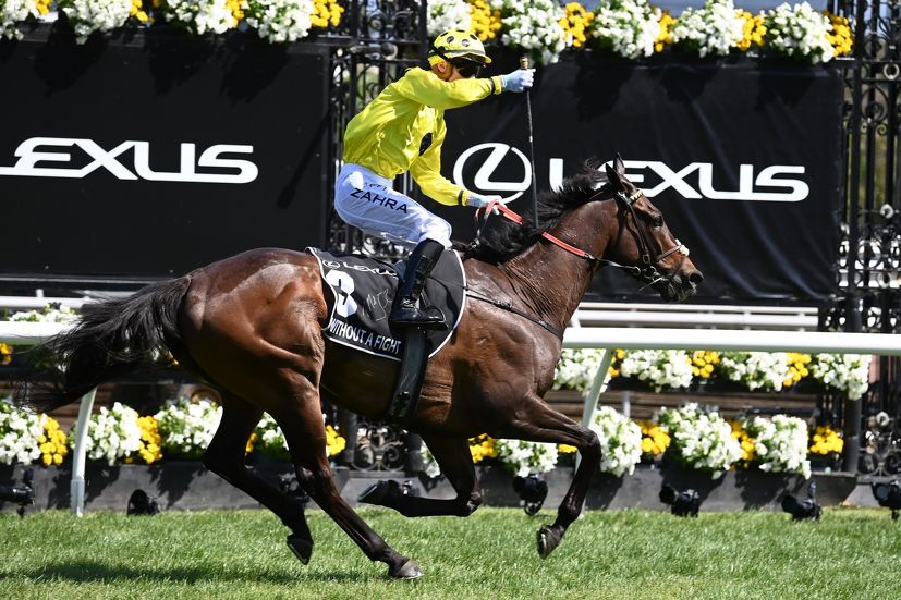 Another Melbourne Cup to take stock of