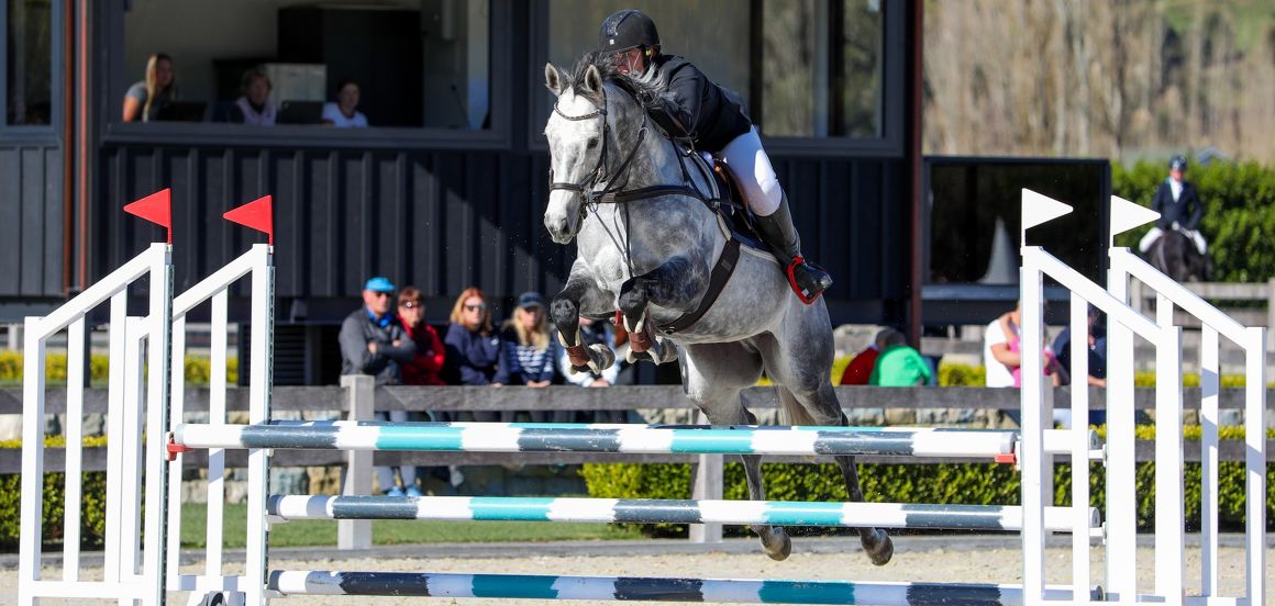 Rehoming racehorses and driving demand