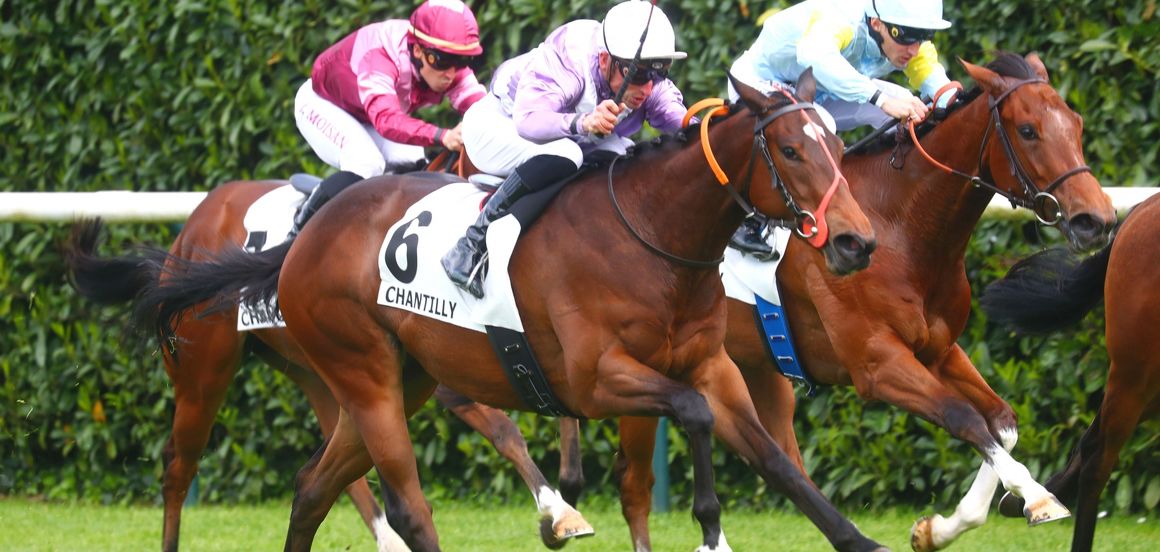 Cambridge Stud shuttles making headlines in both hemispheres