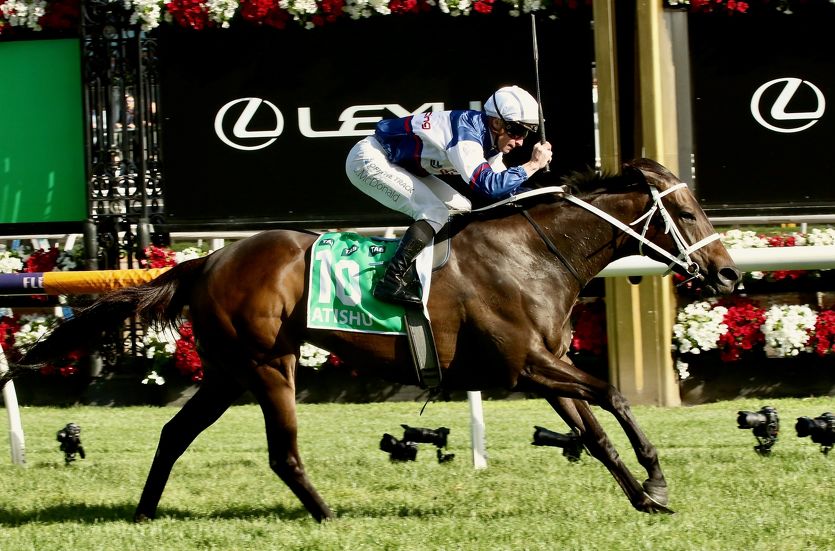 Leading syndicators have a day to remember at Flemington