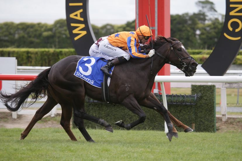 Te Rapa delivers a memorable start to the New Year