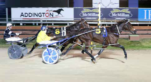 Cullen’s stars primed to carry punters’ hopes