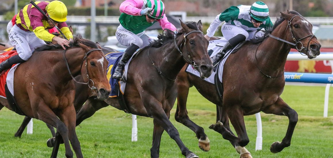 Kwok excited about Caulfield Cup opportunity