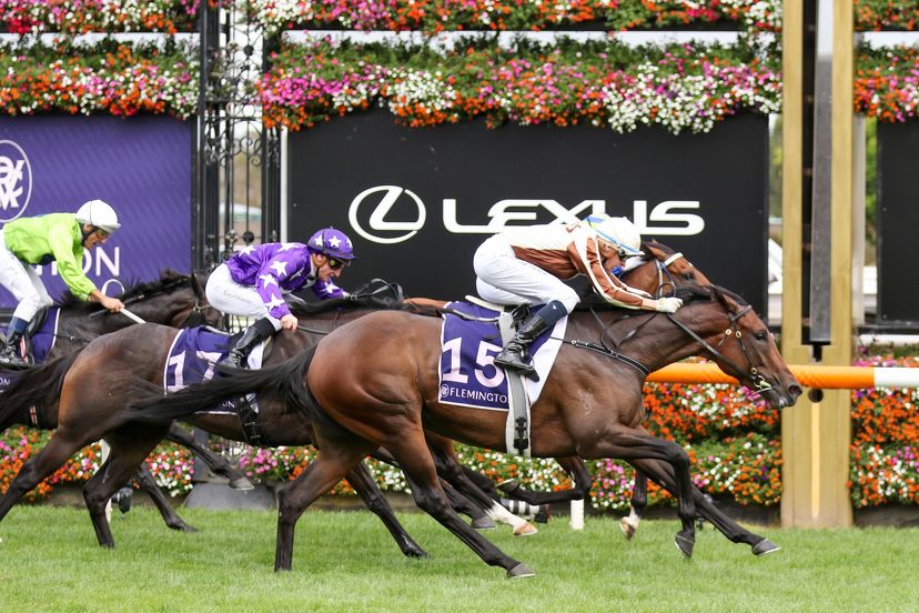 New season preparations already underway for Group One fillies