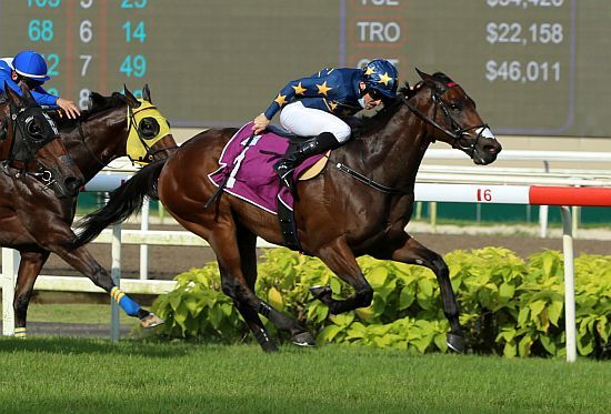 Trelawney savour unexpected Singapore Derby triumph