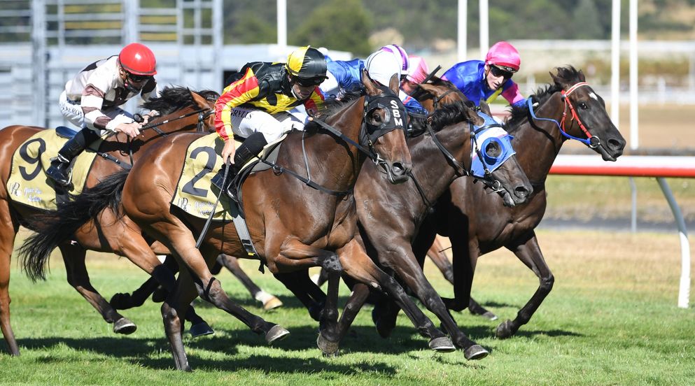 Marsh proud to be part of Wellington Cup history