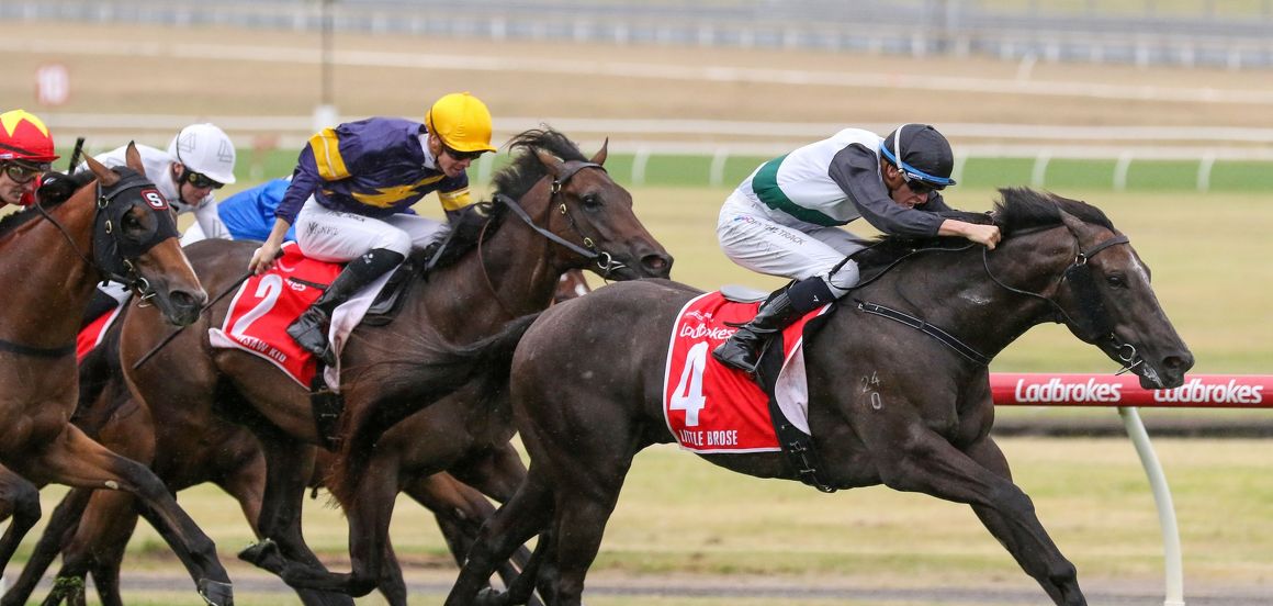 Blue Diamond win further kudos for Per Incanto