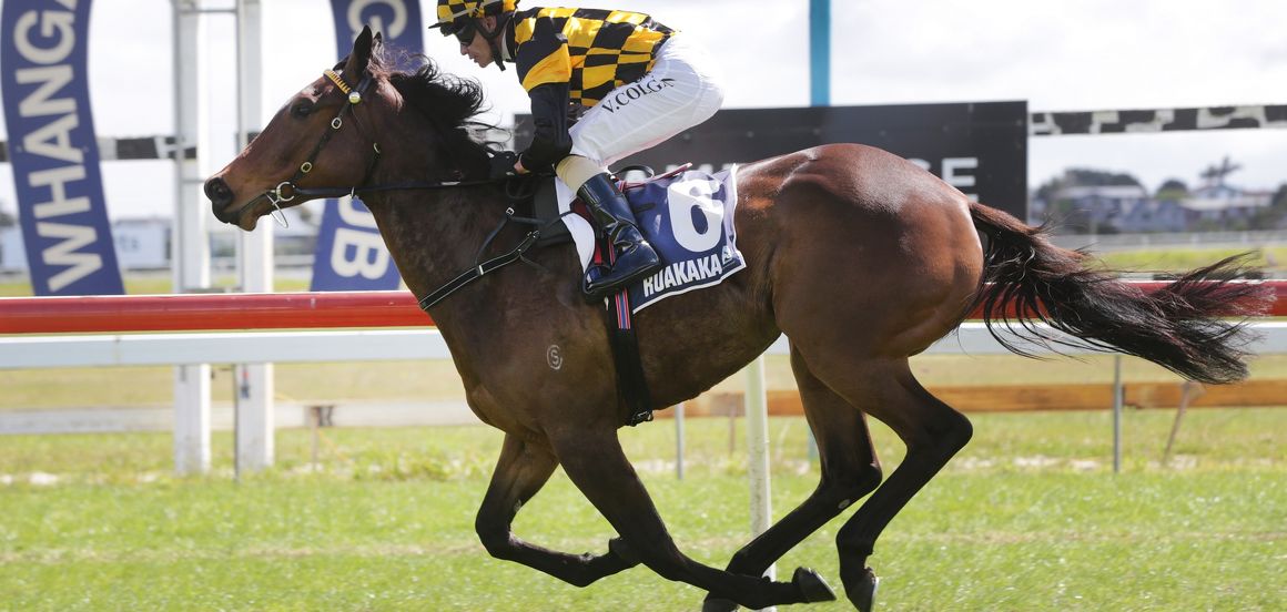 Ruakaka win the perfect start for Embellish