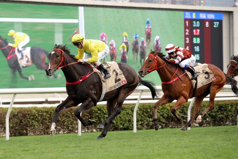 Lucky Sweynesse takes high ranking after big Hong Kong win