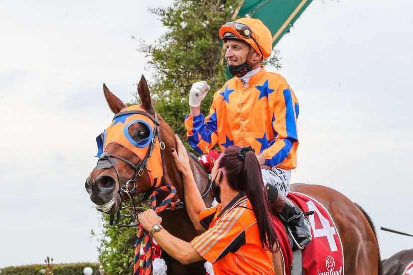 A special week through the eyes of one lucky owner