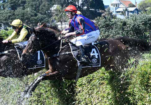 Stakeholders react to Auckland merger plans