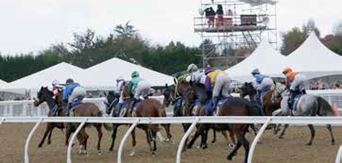 Inaugural Polytrack raceday a resounding success