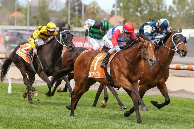 Forsman thriving under solo banner