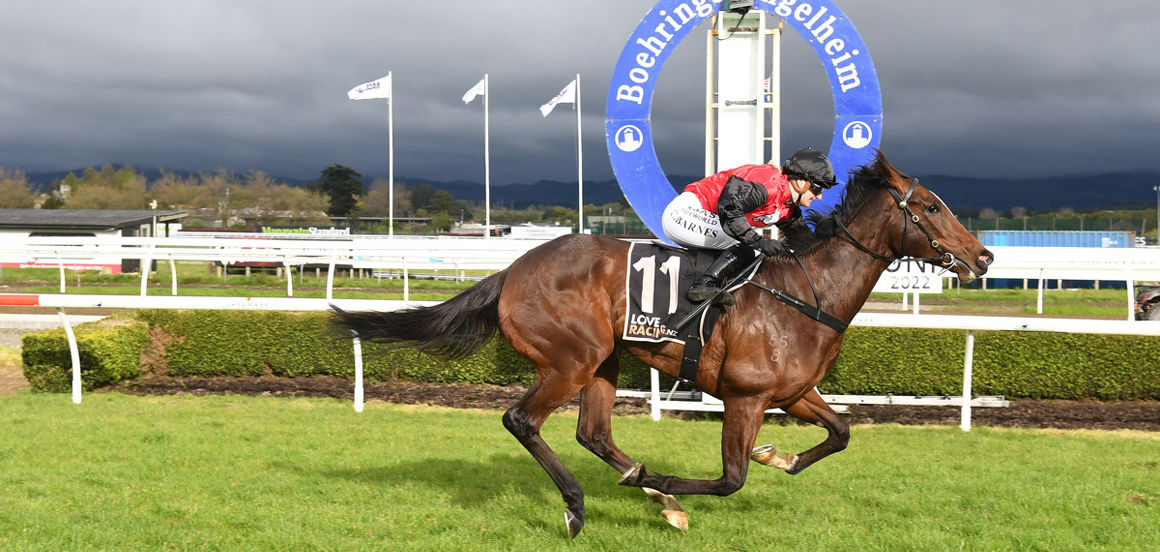 High performance pair the best of both worlds for Hewson