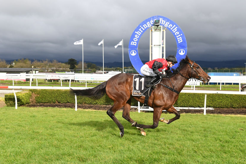 High performance pair the best of both worlds for Hewson