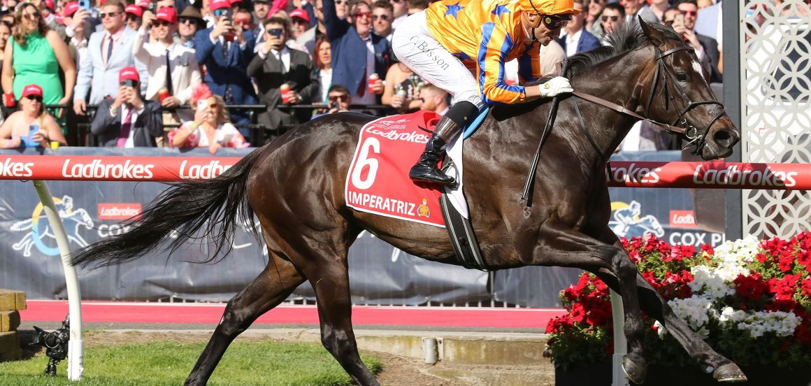 Kiwi mares supreme on Cox Plate day