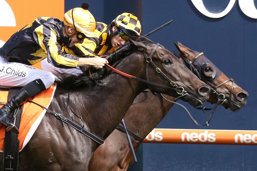2021-22 SEASON WRAP: Mares to the fore in middle-distance features