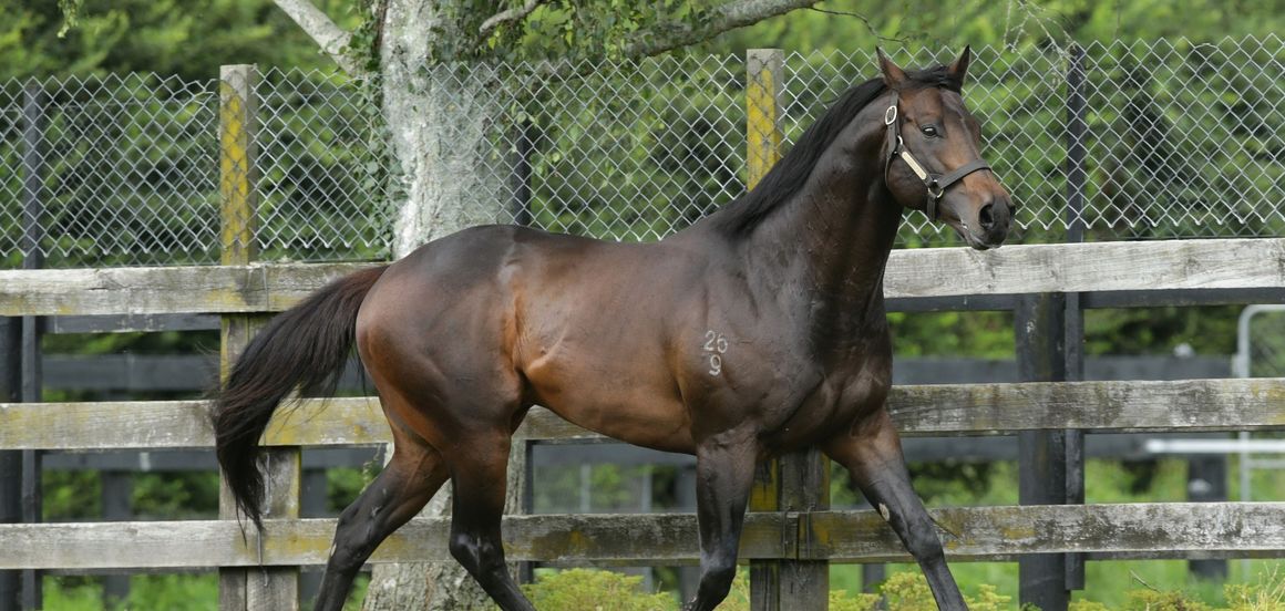 Proisir joins Savabeel on the sires’ podium