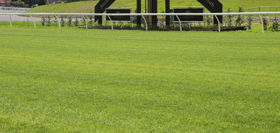 New Ellerslie track looking the part