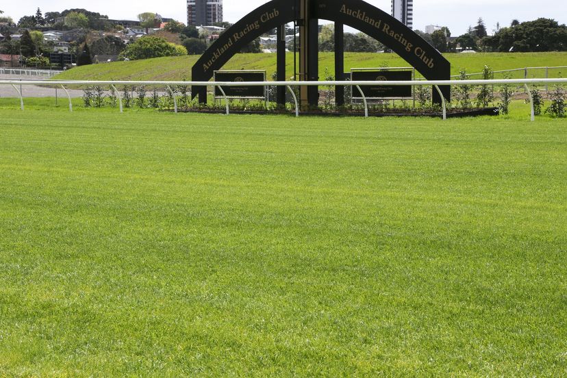 New Ellerslie track looking the part