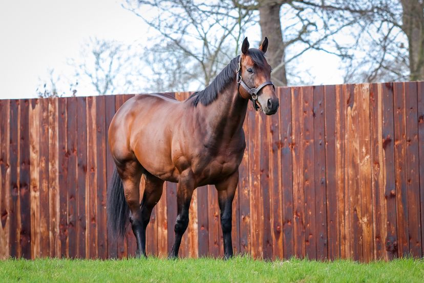 Multiple layers set an exciting platform at Cambridge Stud