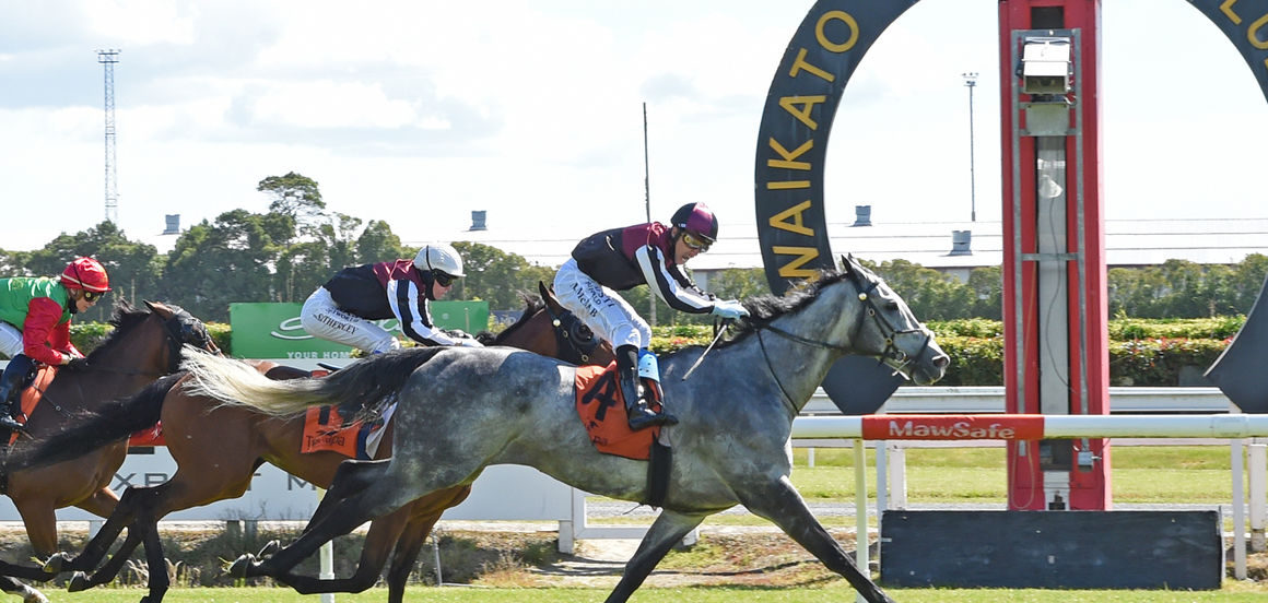 Greene rules the roost at Te Rapa