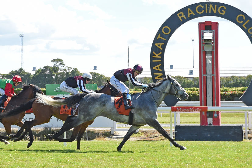 Greene rules the roost at Te Rapa