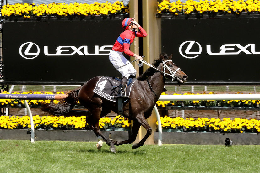 Verry Elleegant lands the big one for New Zealand