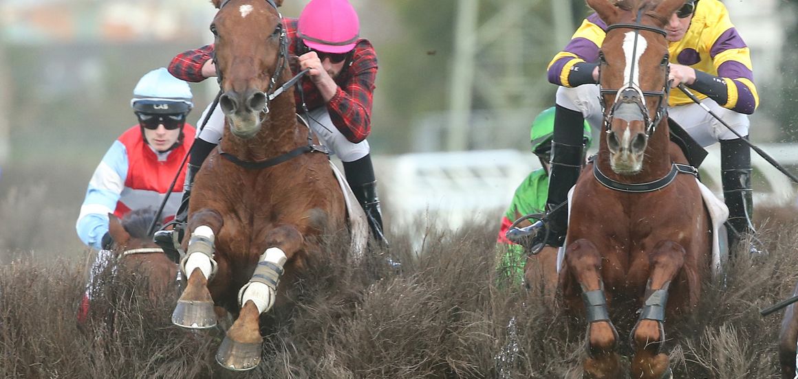 Family pride as Yardarm revives memories of one of the greats