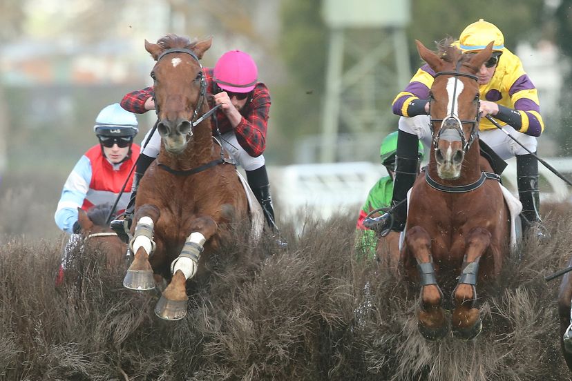 Family pride as Yardarm revives memories of one of the greats