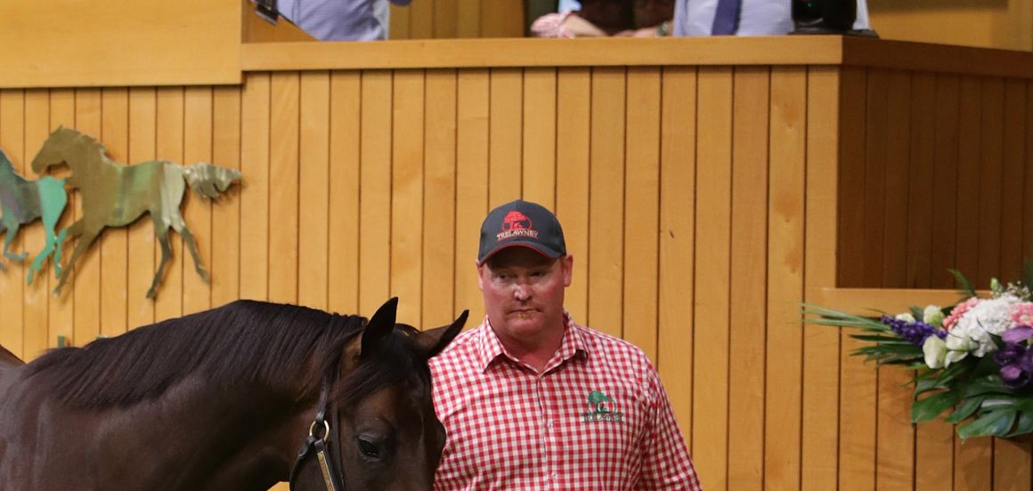 Optimism at many levels in countdown to National Yearling Sales Series