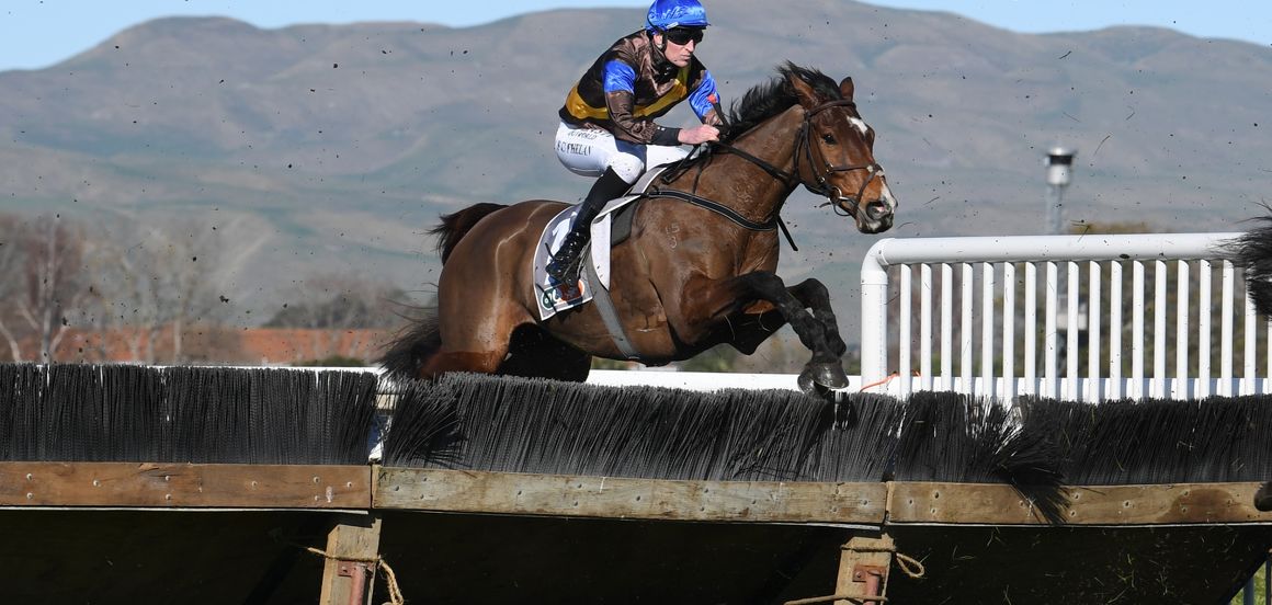 No regrets for Phelan despite Grand National result