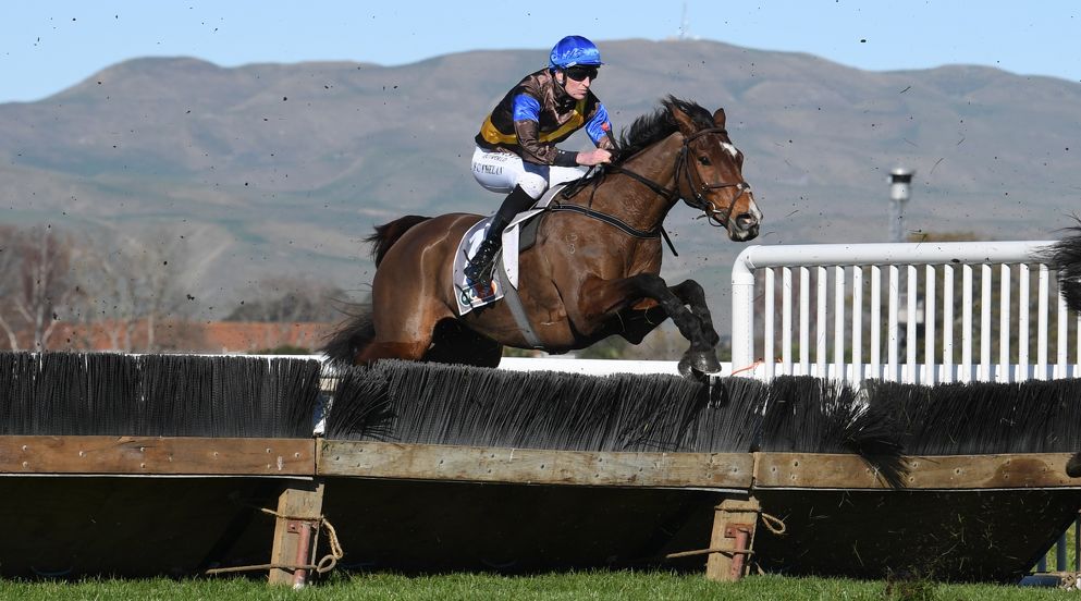 No regrets for Phelan despite Grand National result