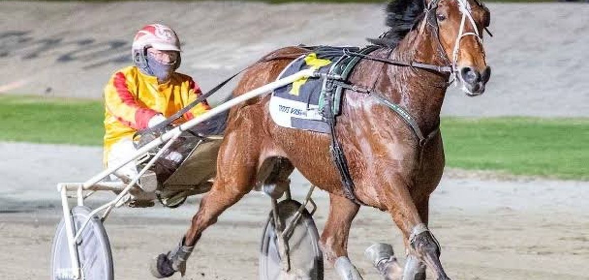 Queen returning home to give trans-Tasman flavour to TAB Trot Slot