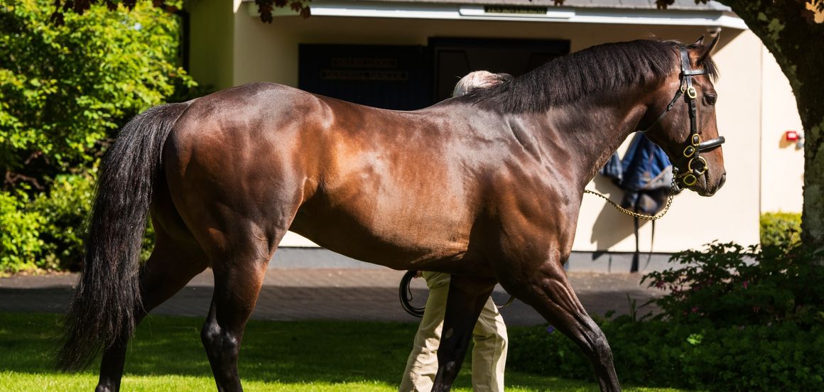 Ideal start to new season for The Oaks Stud sires