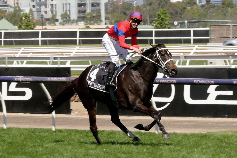 Curtain comes down on champion mare’s career