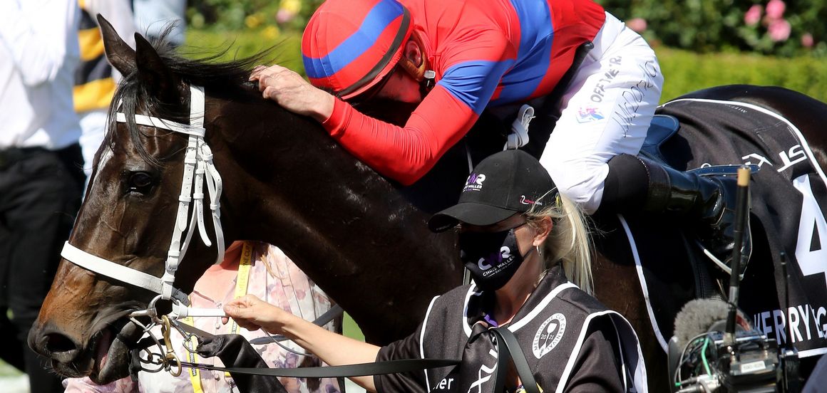 Champion racemare Verry Elleegant for Hall of Fame