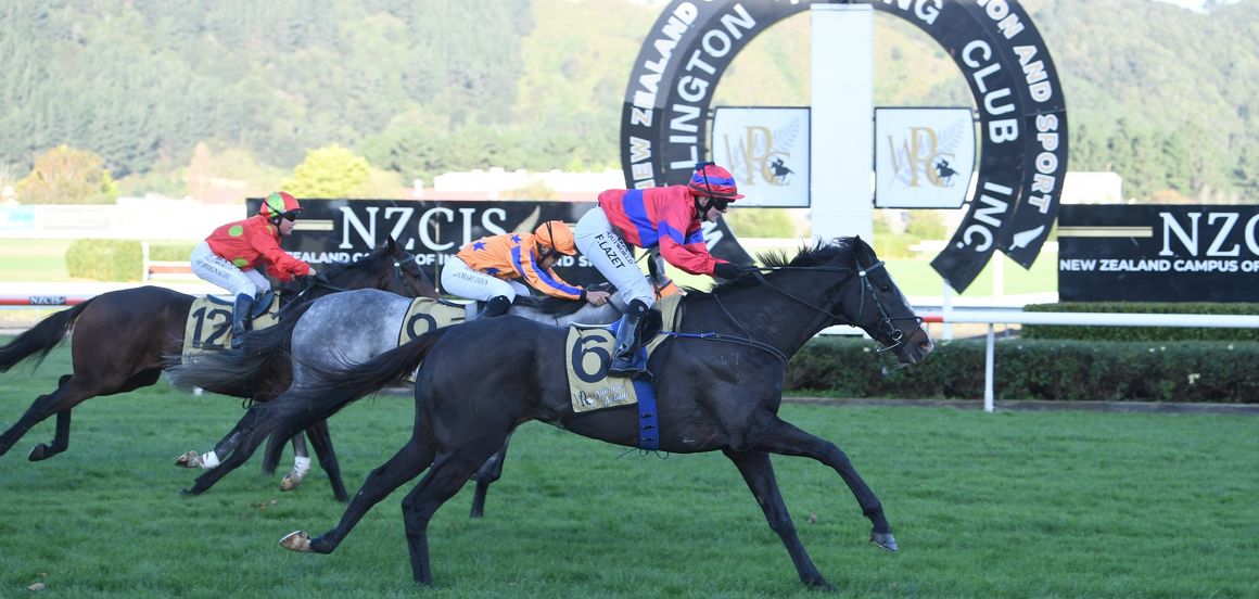 Another chapter in Rangitikei Gold Cup history