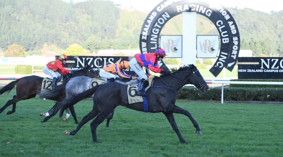 Another chapter in Rangitikei Gold Cup history