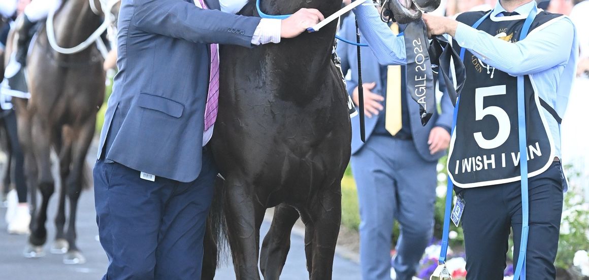 I Wish I Win brings Black Caviar team back together